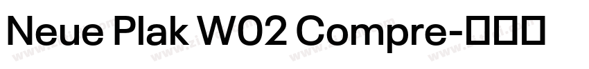 Neue Plak W02 Compre字体转换